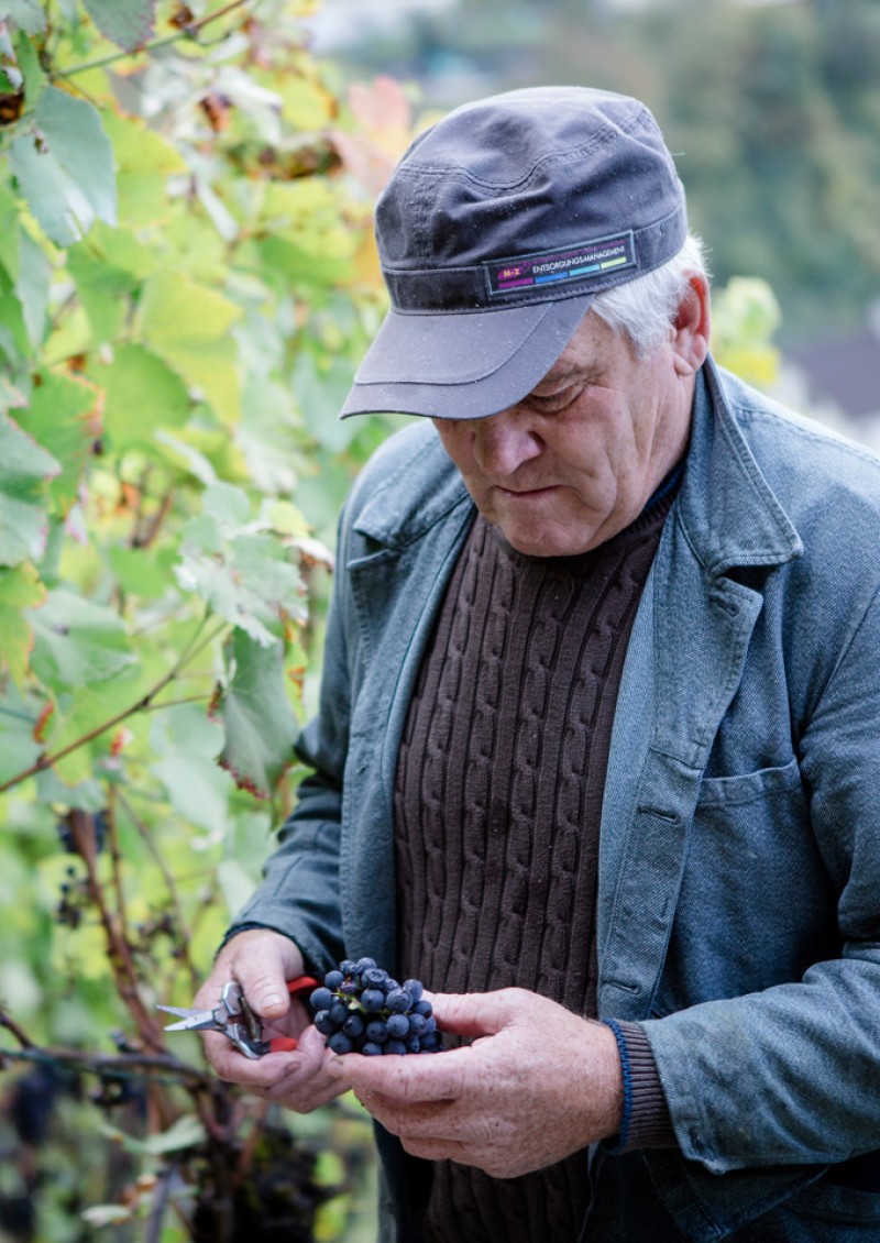 Natur Weinbau Natur Weinbau